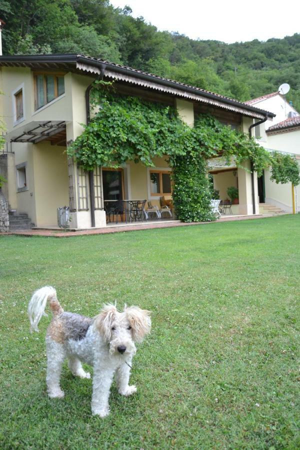 B&B Ca' Dell'Ortolan Villaga Kültér fotó
